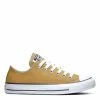 Converse Women's Chuck Taylor All Star Low Top Seasonal Colour In Burnt Honey -Shoe Shop A02801 1100x